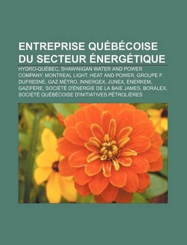 Entreprise Quebecoise Du Secteur Energetique