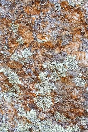 2020 Weekly Planner Stone Surface 134 Pages