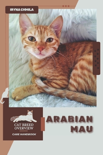 Arabian Mau