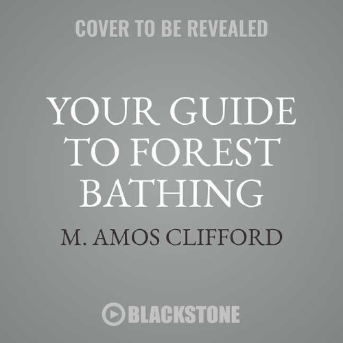 Your Guide to Forest Bathing: Experience the Healing Power of Nature