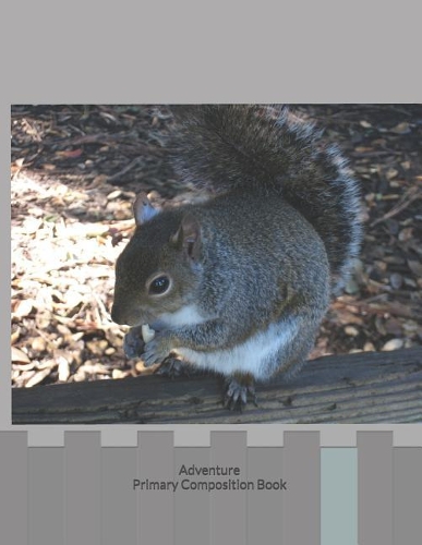 Adventure Primary Composition Book