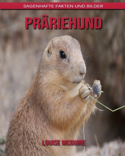 Präriehund