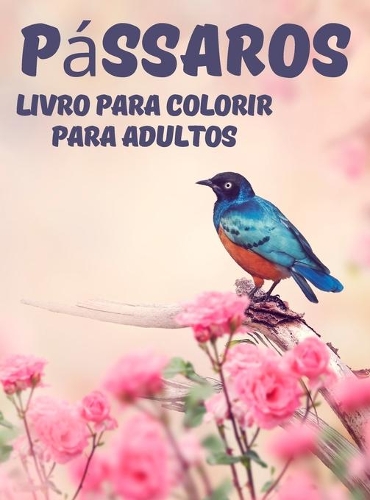 Pássaros Livro para Colorir para Adultos