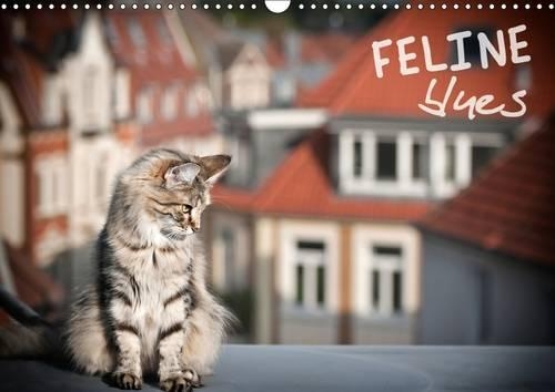 Feline Blues 2017: Racy Cats with Blues in the Blood!(Calvendo Animals)