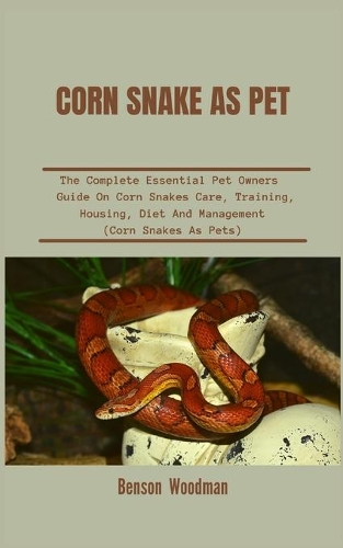 Corn Snake as Pet