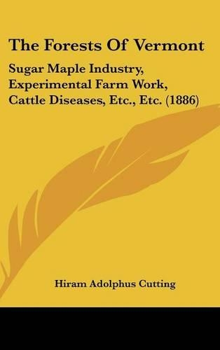 The Forests Of Vermont