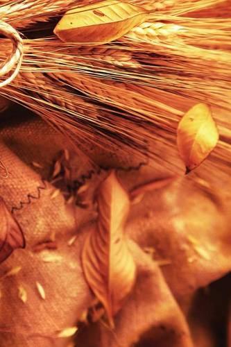 Autumn Harvest Wheat 2 Journal: (English)