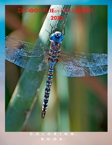 Dragonflies