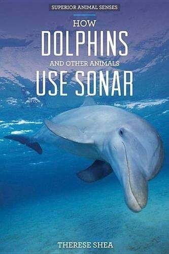 How Dolphins and Other Animals Use Sonar