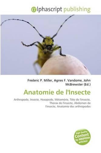 Anatomie de L'Insecte: (French)