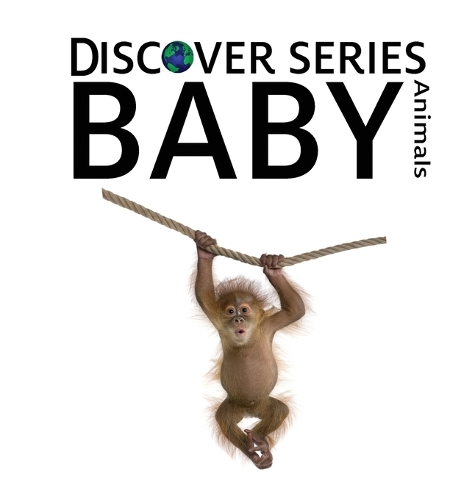 Baby Animals: (Discover)