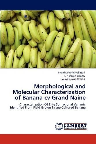 Morphological and Molecular Characterization of Banana cv Grand Naine: (English)
