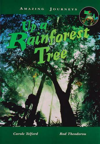 Amazing Journeys: Up a Rainforest Tree Big Book         (Paperback)
