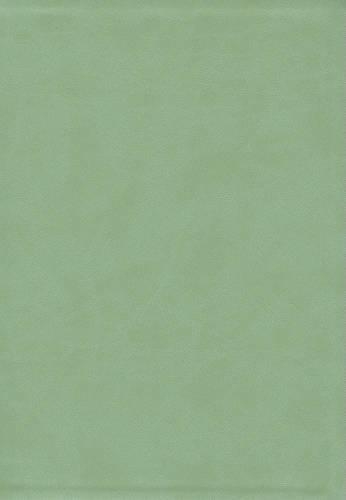 Thompson Chain Reference Bible-NIV