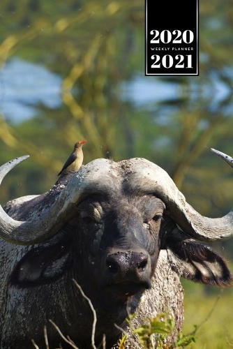 Buffalo Bison Yak Gaur Week Planner Weekly Organizer Calendar 2020 / 2021 - Relaxed Bird