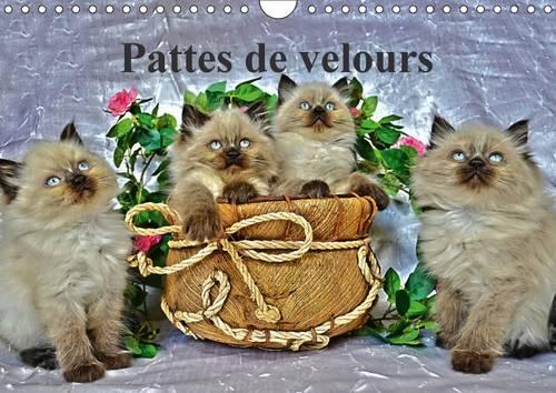 Pattes De Velours 2017