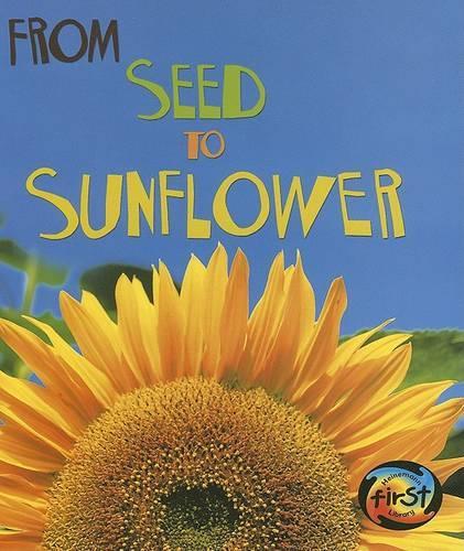 From Seed to Sunflower