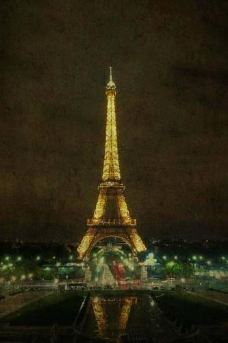 Paris: Eifel Tower(World Traveler)
