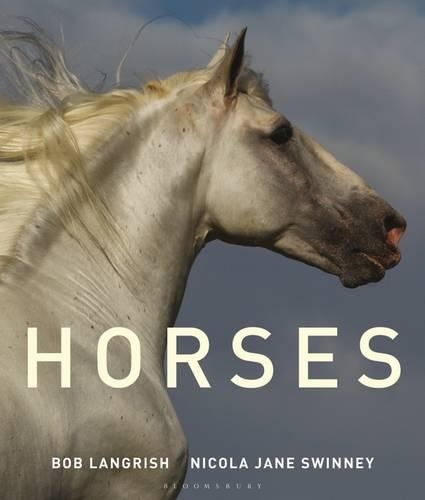 Horses of the World