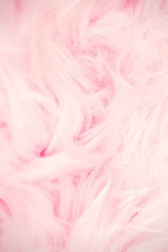 Pink Feather Photo Design Journal