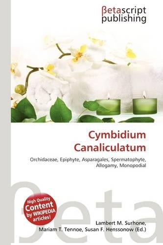 Cymbidium Canaliculatum: (English)