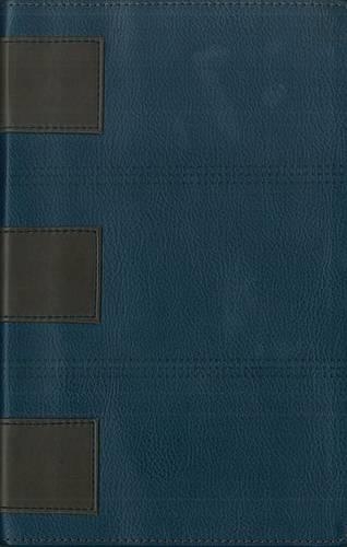 New Men's Devotional Bible