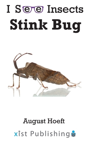 Stink Bug: (I See Insects)