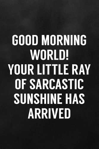 Good Morning World! Your Little Ray of Sarcastic Sunshine Has Arrived: Blank Lined Journal to Write in for Work or Office Funny Notebooks for Adults