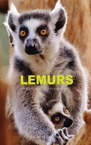 Lemurs Pocket Monthly Planner 2017