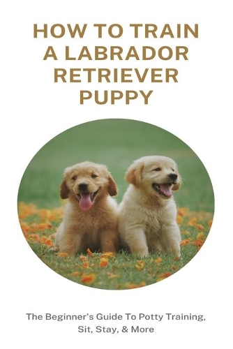 How To Train A Labrador Retriever Puppy