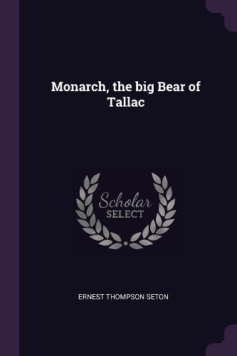 Monarch, the big Bear of Tallac