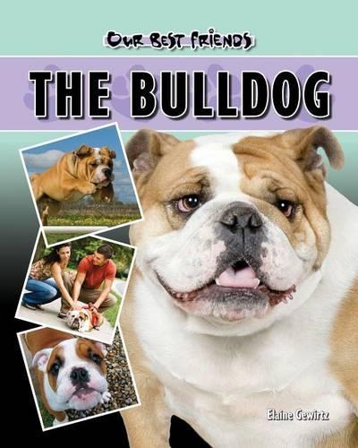 Bulldog