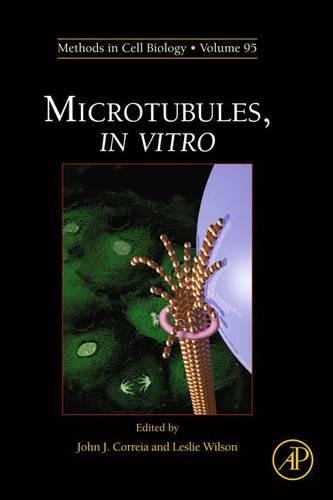 Microtubules, in Vitro