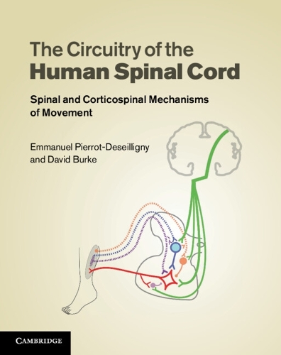 The Circuitry of the Human Spinal Cord