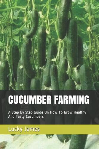 Cucumber Farming