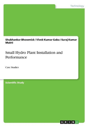 Small Hydro Plant Installation and Performance: Case Studies