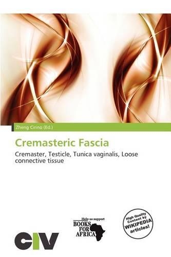 Cremasteric Fascia