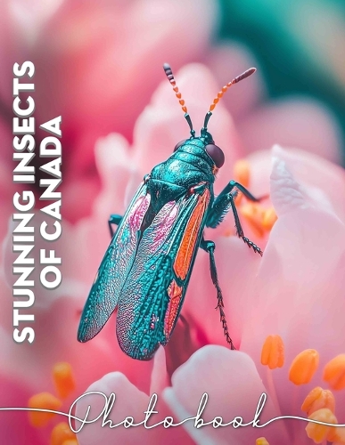 Stunning Insects Of Canada Photo Book