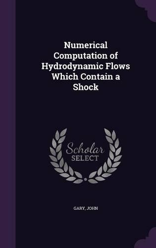 Numerical Computation of Hydrodynamic Flows Which Contain a Shock