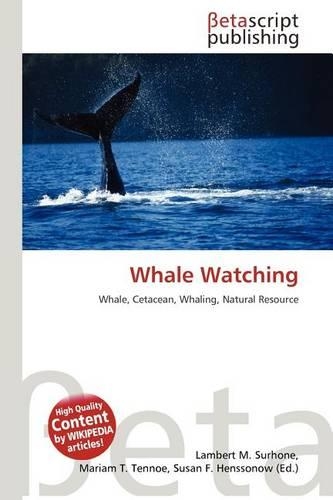 Whale Watching