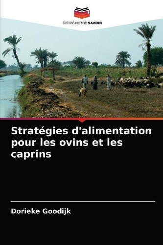 Stratégies d'alimentation pour les ovins et les caprins