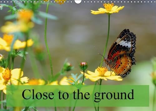Close to the ground 2015