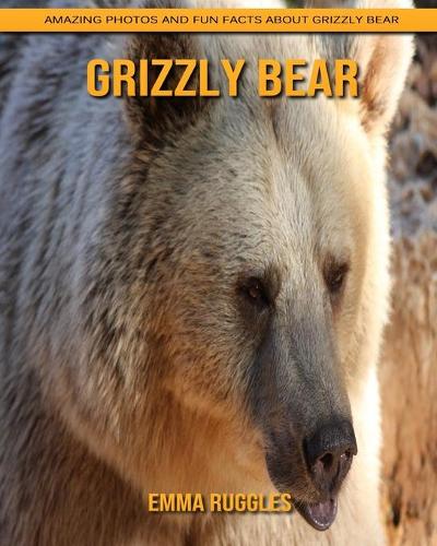 Grizzly bear