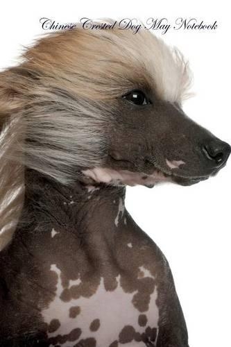 Chinese Crested Dog May Notebook Chinese Crested Dog Record, Log, Diary, Special Memories, To Do List, Academic Notepad, Scrapbook & More