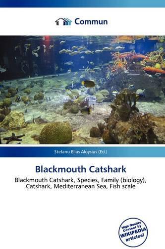 Blackmouth Catshark