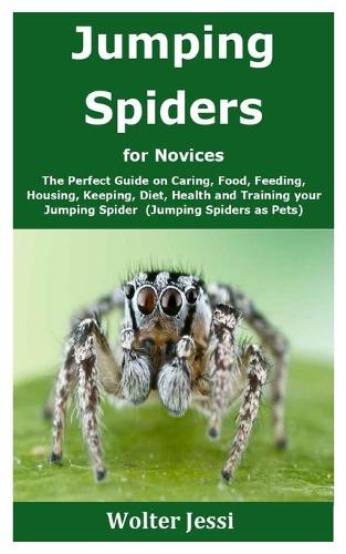 Jumping Spiders for Novices