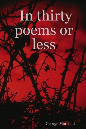 In Thirty Poems or Less