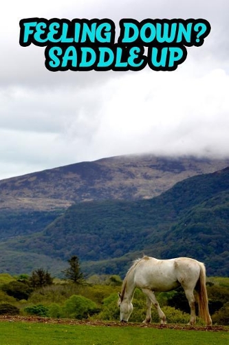 Feeling Down? Saddle Up