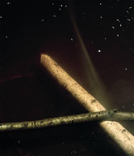 Comme Un Murmure / Like a Whisper