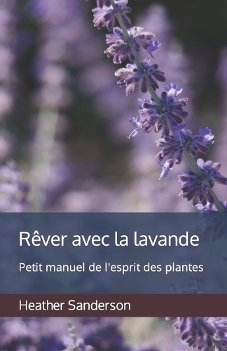 Rêver avec la lavande